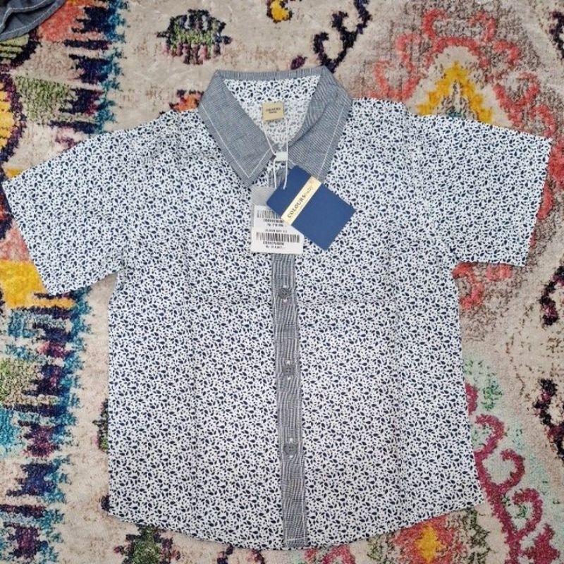 Kemeja Colours Baby By Kids Icon