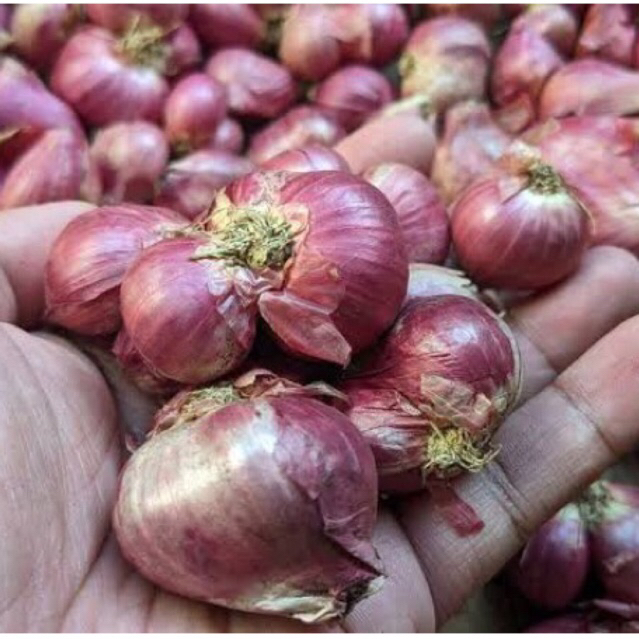 

Bawang merah 250g | Bawang merah nganjuk | Bawang merah lokal 250g