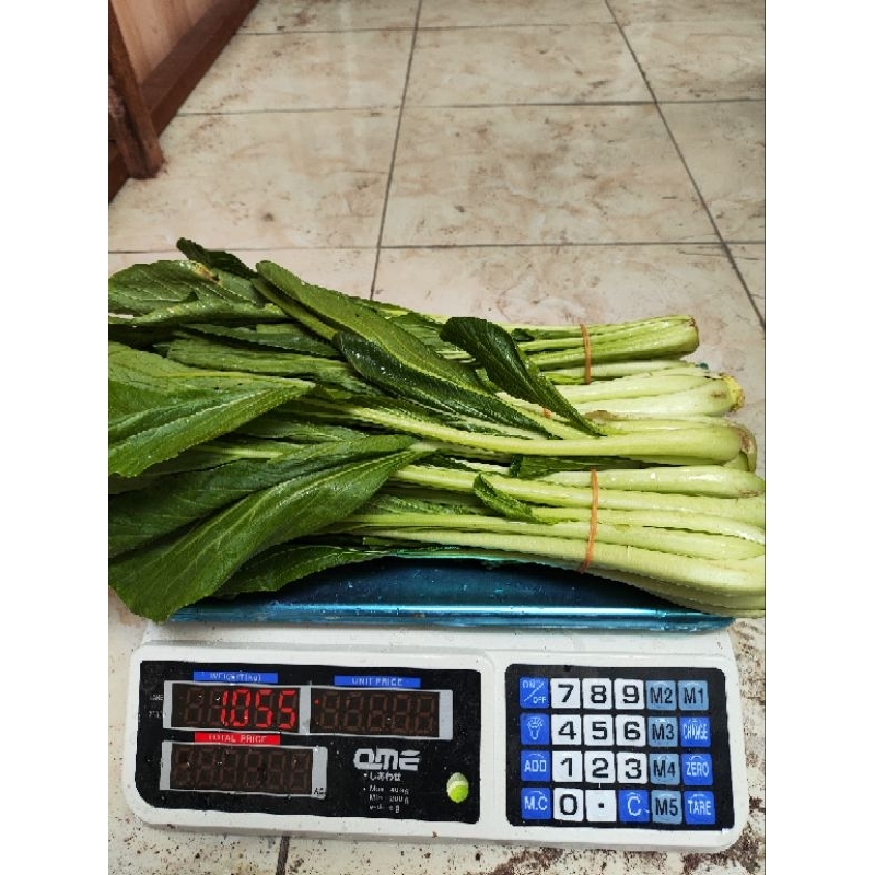 

sayur sawi fresh segar 1 kg / 500 gram