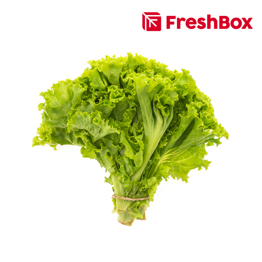 

Selada Keriting/ Lettuce Curly 250gr FreshBox