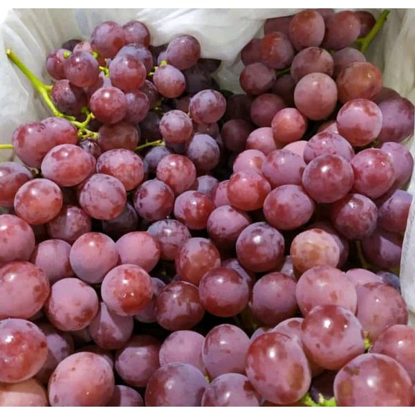 

Buah 500gr Anggr China manis asam Premium ber biji, Ready Stock Delivery Jogja