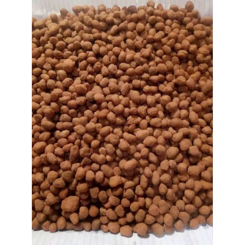 

Kacang telur manis