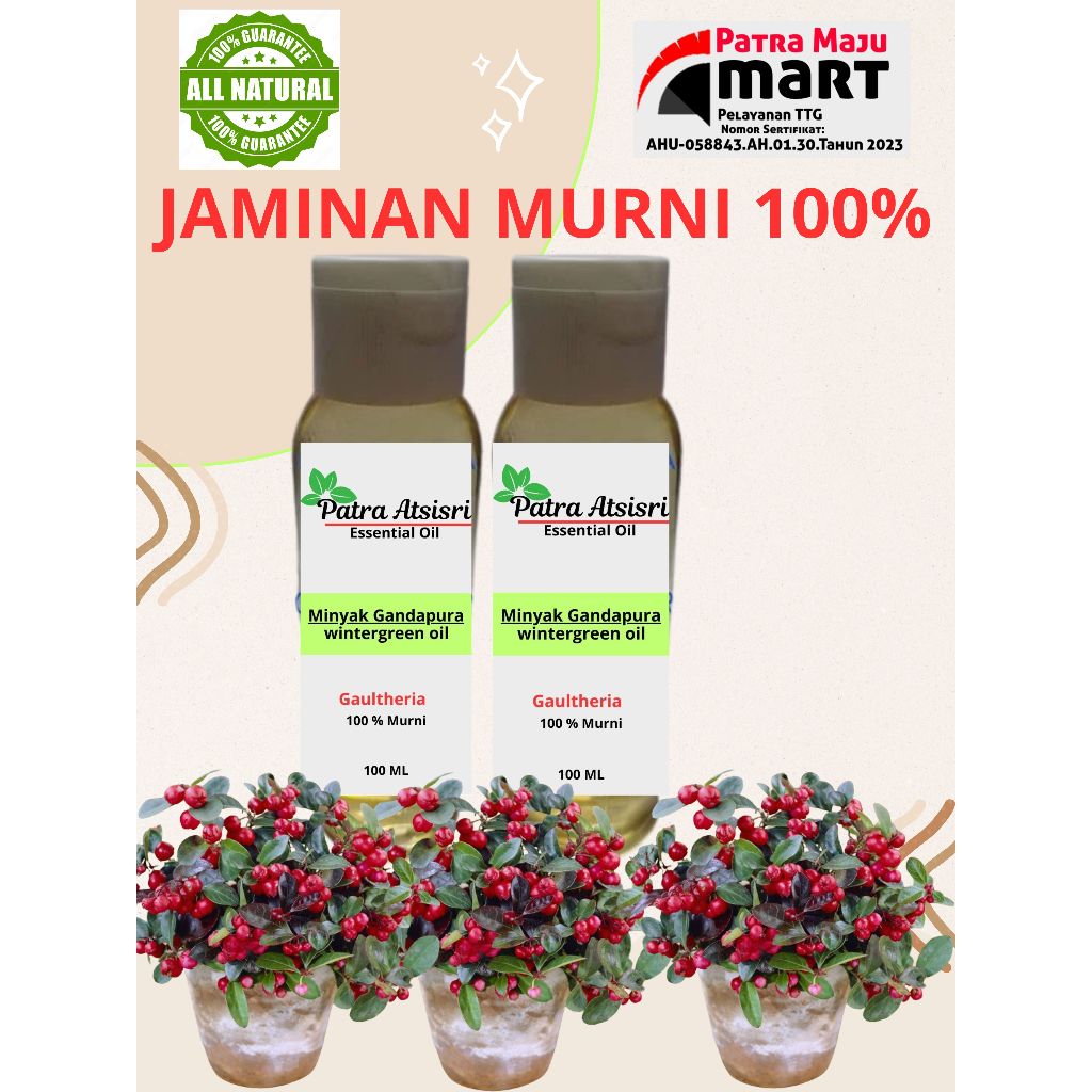 minyak gandapura asli 100%
