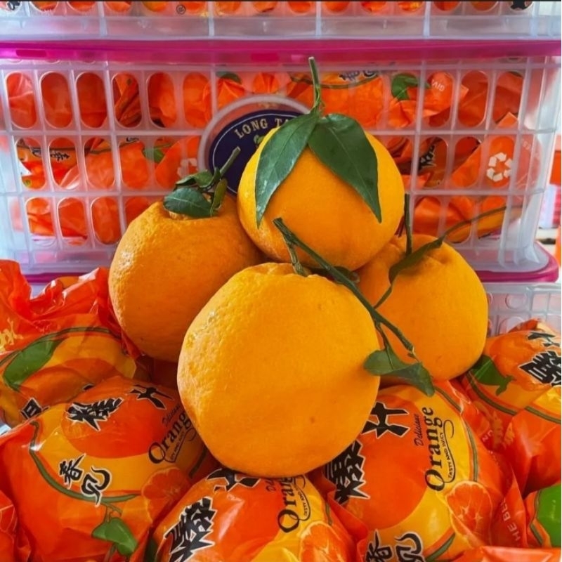 

jeruk dekopon sumo 1kg