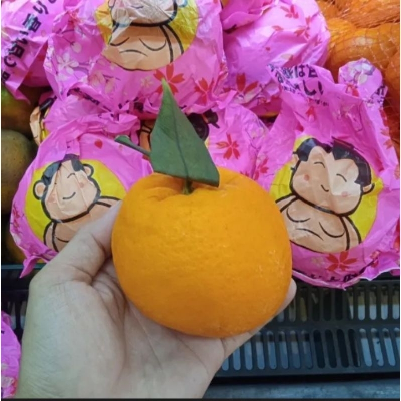 jeruk dekopon sumo 1kg