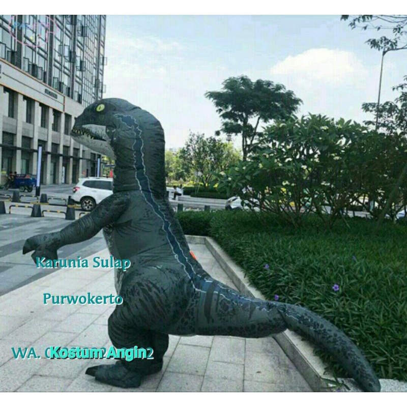 KOSTUM DINO BLUE PESTA DINOSAURUS COSPLAY BADUT LUCU