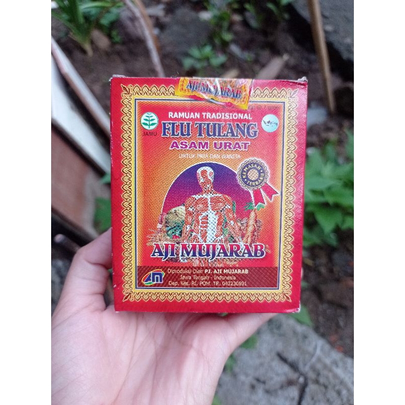 asam urat flu tulang aji mujarab/Aji mujarab