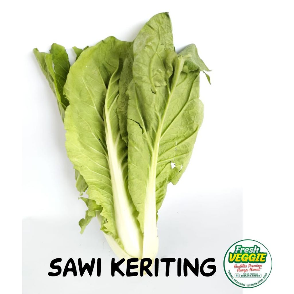 

Sayur Sawi Keriting Hidroponik - 250gr