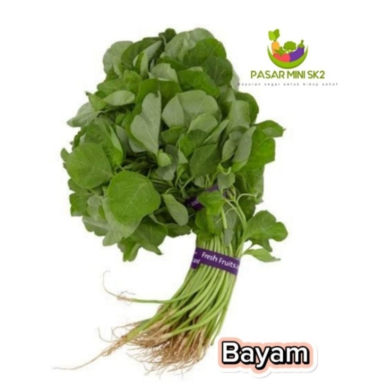 

sayur bayam