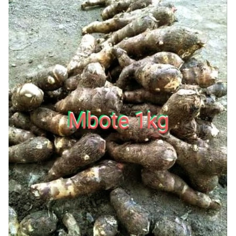 

mbote 1kg talas umbi mbote/kimpul