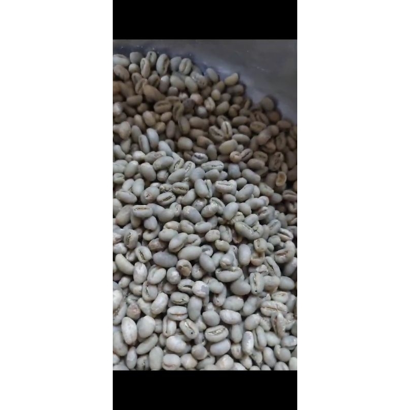 

greenbean kopi arabika gayo aceh peaberry/lanang