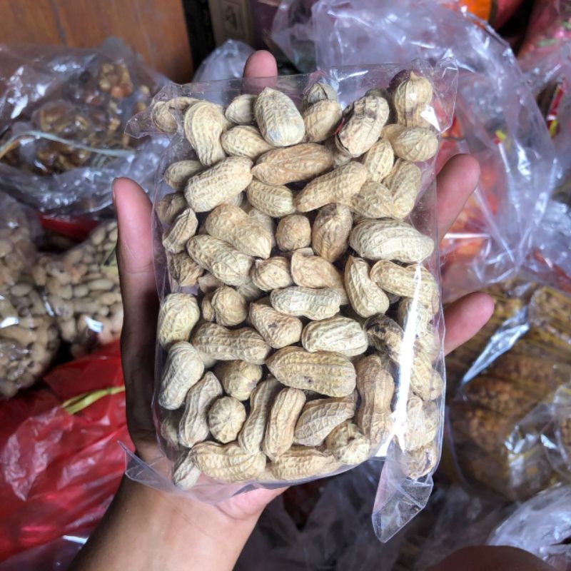 

Kacang oven kecil