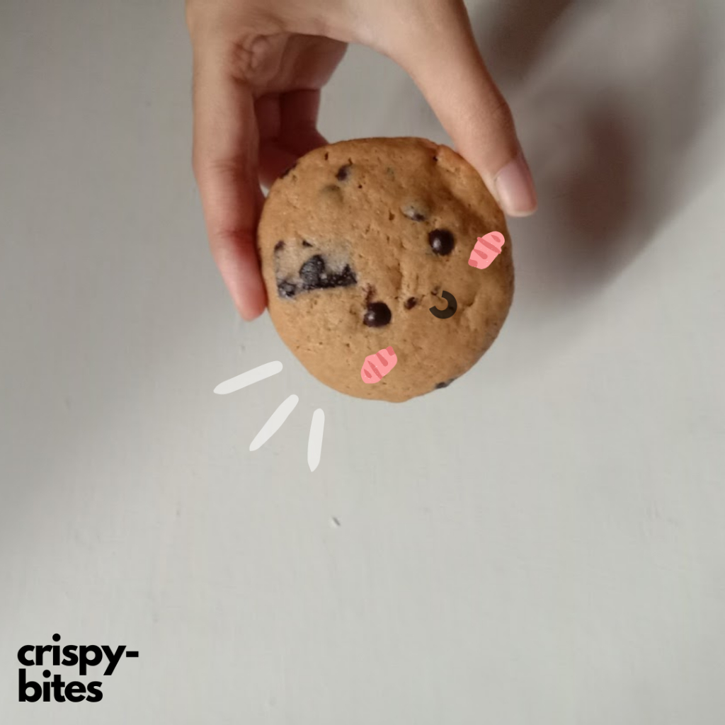 

[MIN. ORDER 4 PCS] Classic Soft Cookies | Soft Baked Cookies | crispybites.id