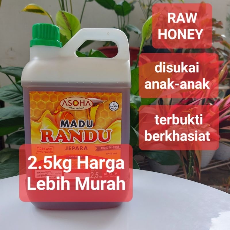 

Madu Randu Asli Jepara 2.5kg | Raw Honey | Madu Murni