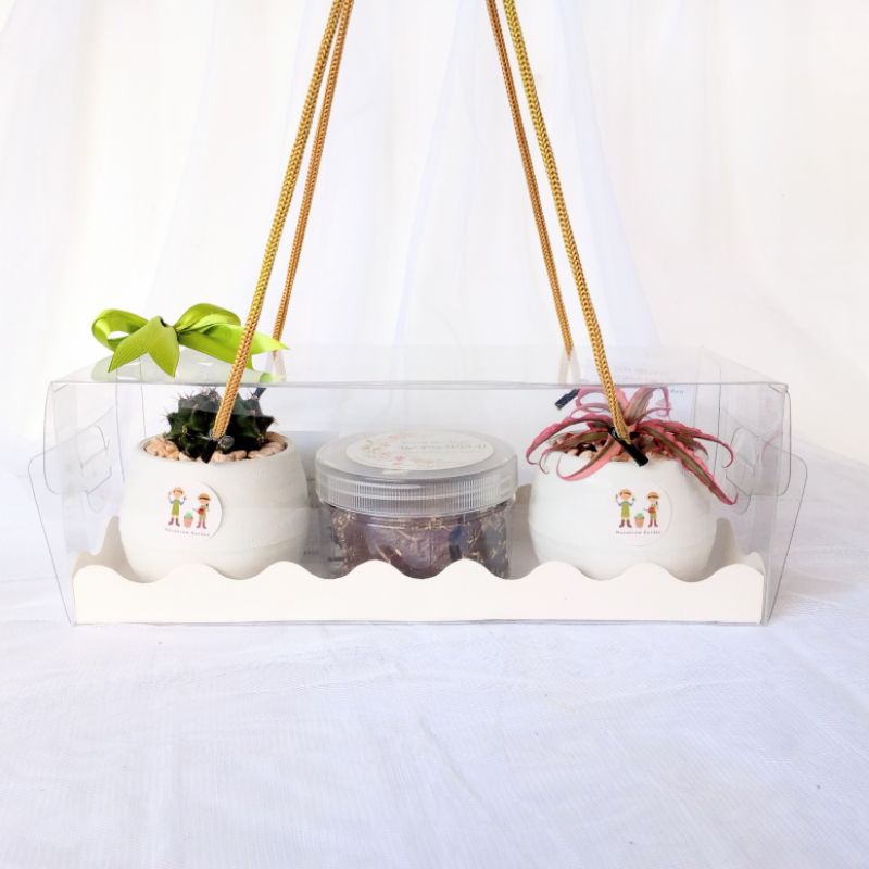 

MG Hampers Raya Kaktus