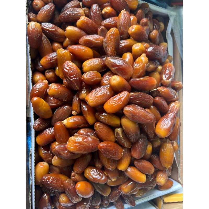 

kurma barari tunisia madu 500g /kurma muda / kurma madu / kurma tunisia/ kurma 500g