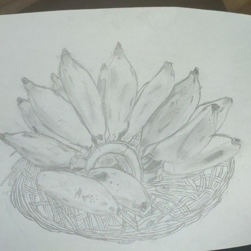 

gambar sketsa pisang