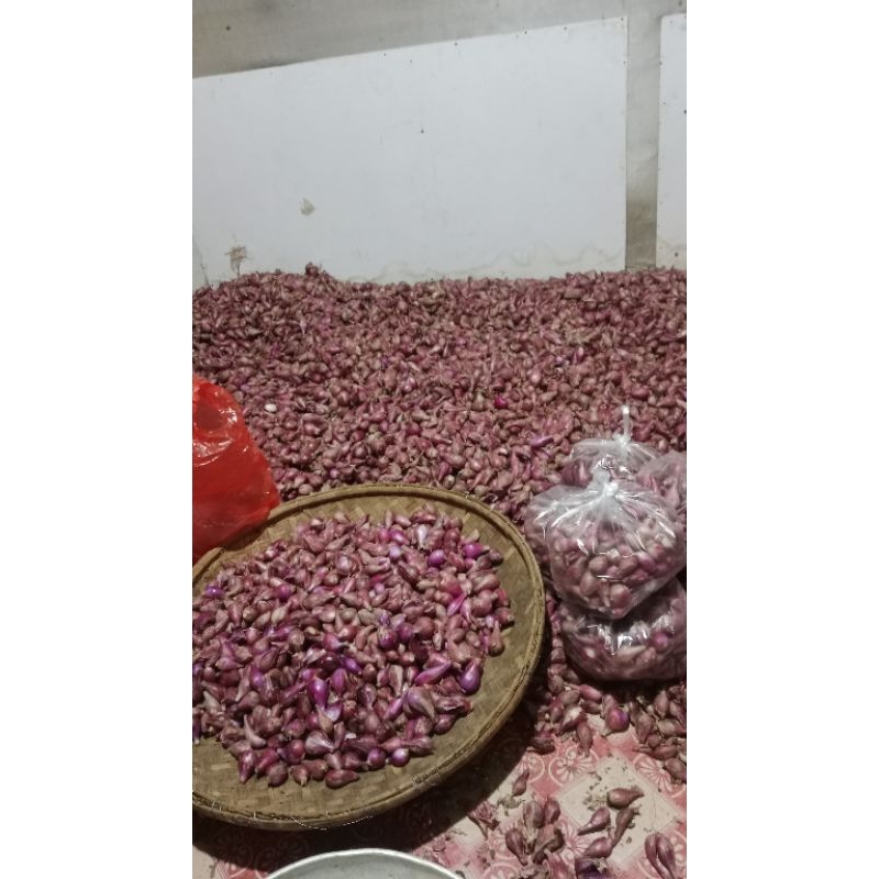 

Bawang Merah Brebes