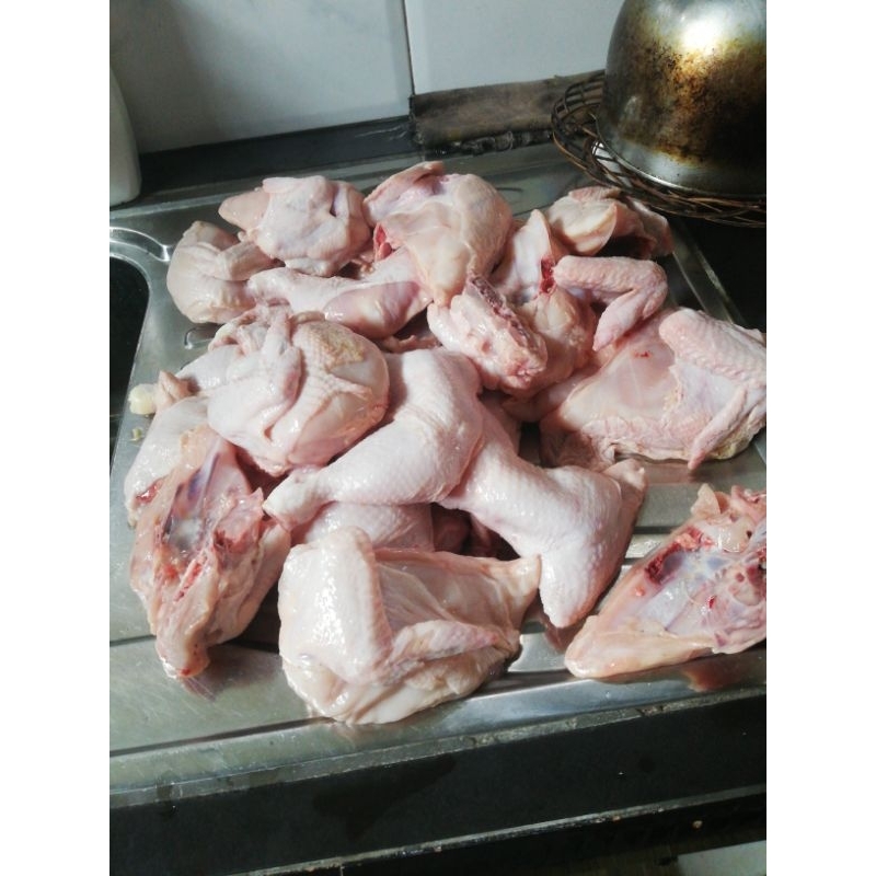 

ayam segar