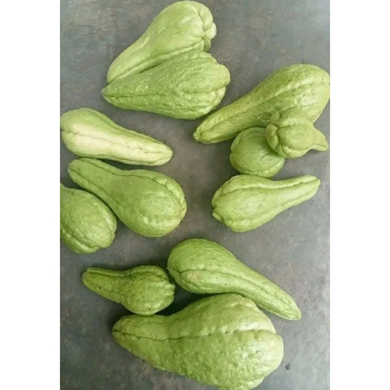 

Buah Waluh Siem,kunir, jerami padi kering,daun bayam