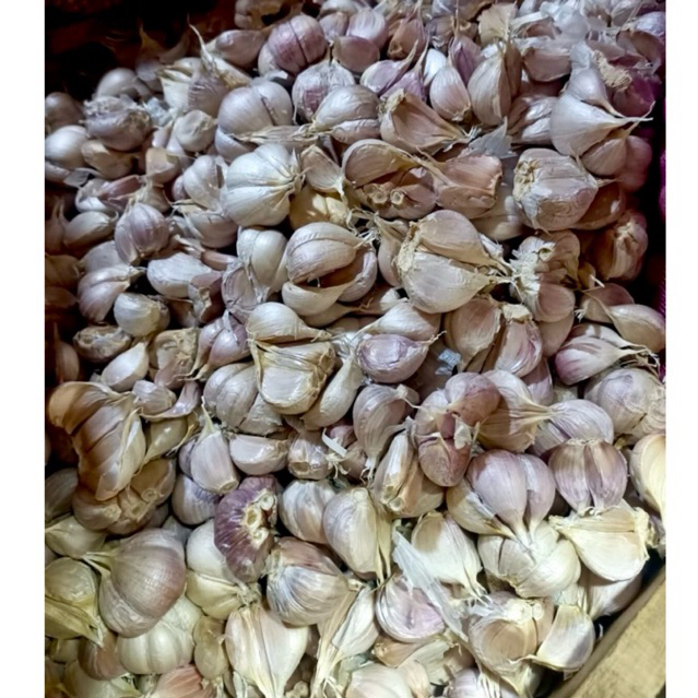 

Bawang Putih Kating 500gr