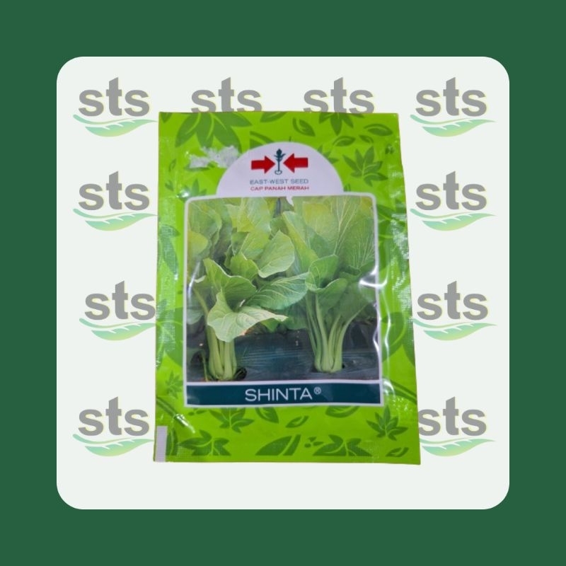Benih Sawi Caisim Shinta