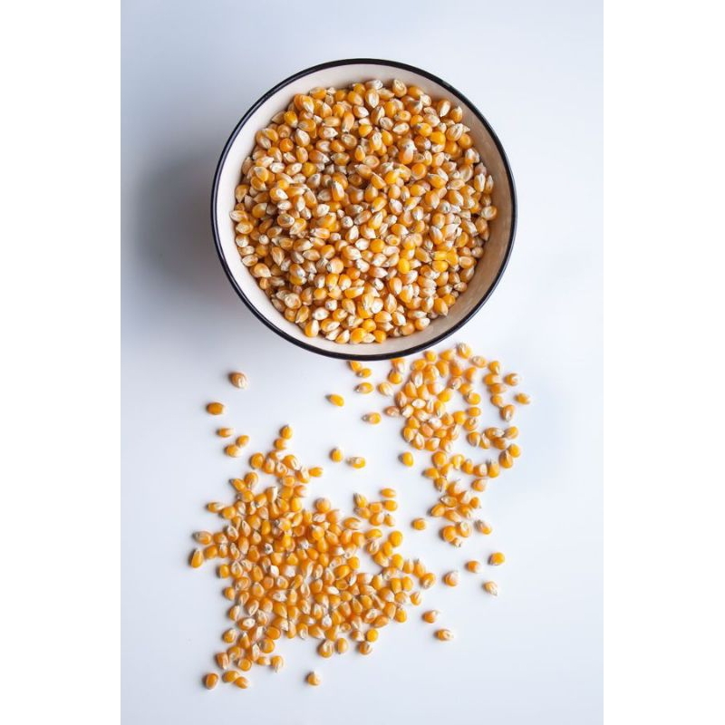 

JAGUNG POPCORN MENTAH 250 GRAM