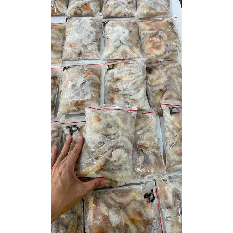 

udang putih utuh laut