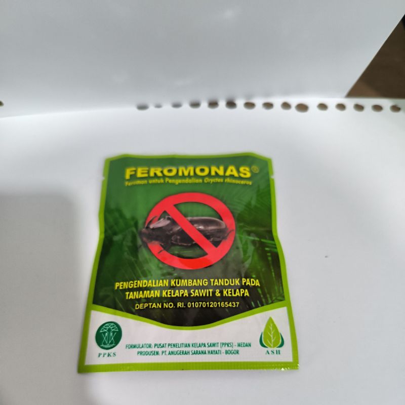 Feromonas Hormon Kumbang Tanduk