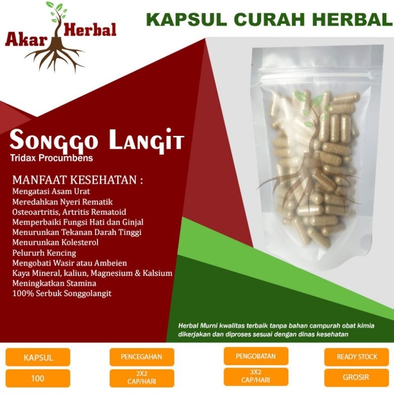 

SONGGO LANGIT SERBUK 100kps