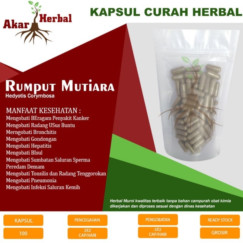 

RUMPUT MUTIARA SERBUK 100kps