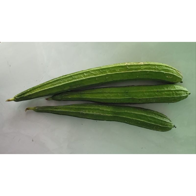 

oyong - 500 gr