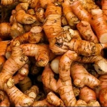 

Bumbu dapur Lengkuas