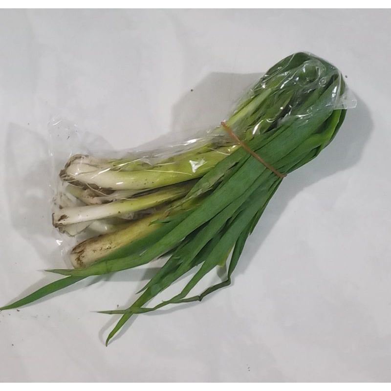 

Bawang Daun - 250 gr