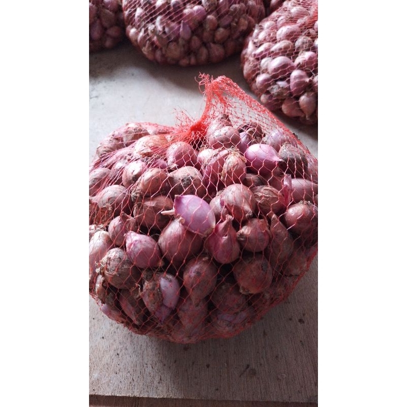 

bawang merah