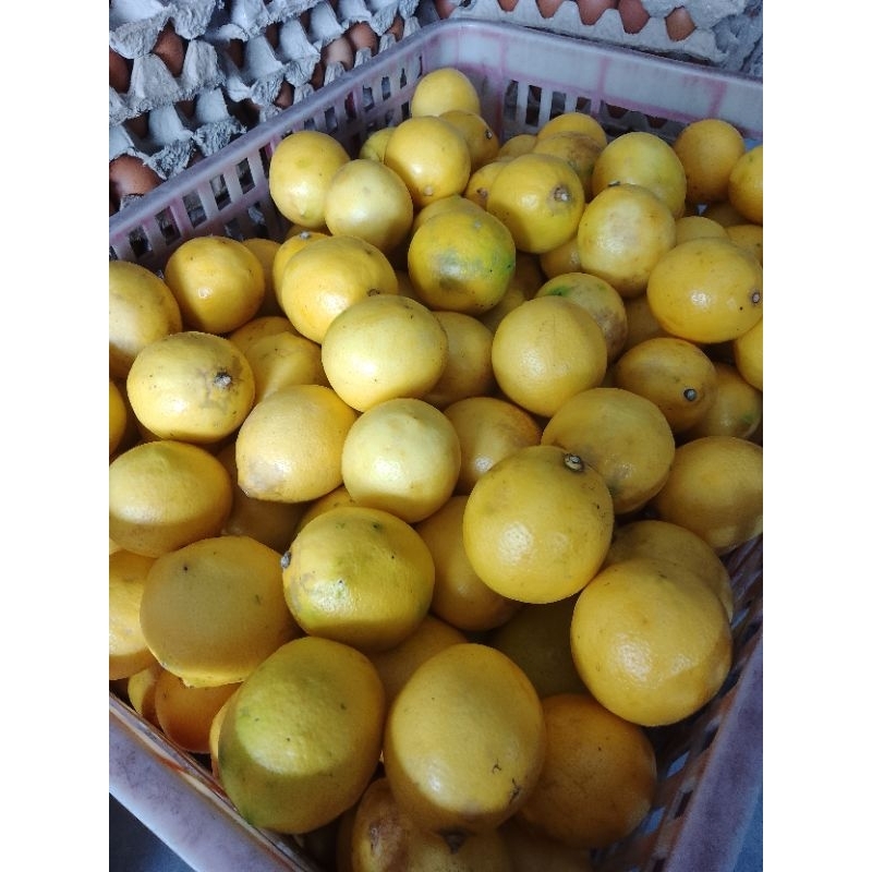 

Lemon Premium California