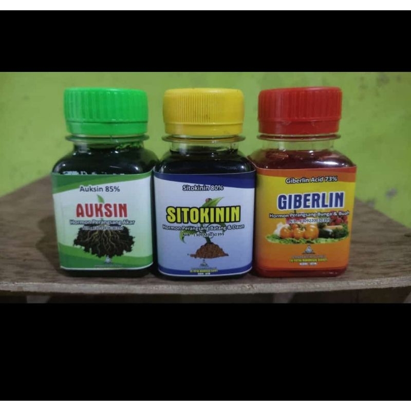 Promo Hormon Auksin, Giberlin, Sitokinin 60 ml