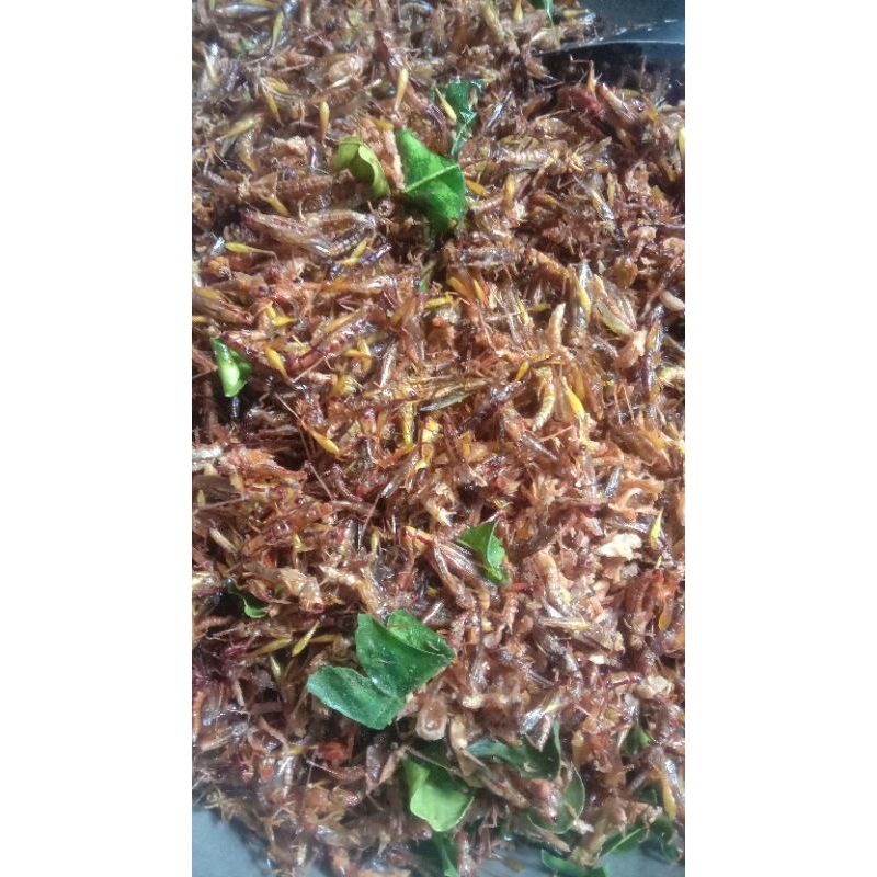 

Belalang goreng kecil isi 200gram / walang utes