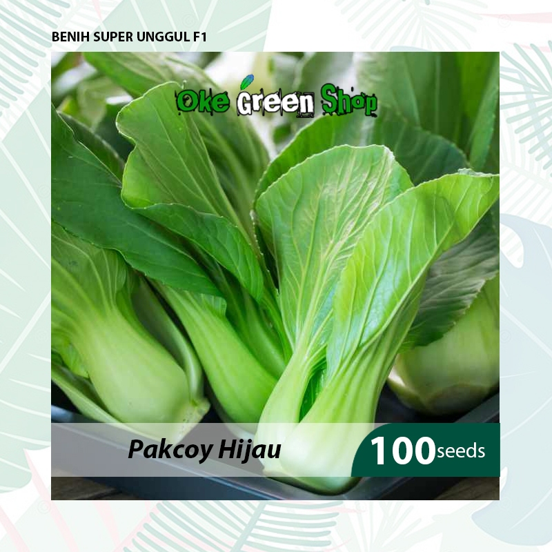Benih Bibit Sayuran Sawi Pakcoy Unggul - Benih Seribuan