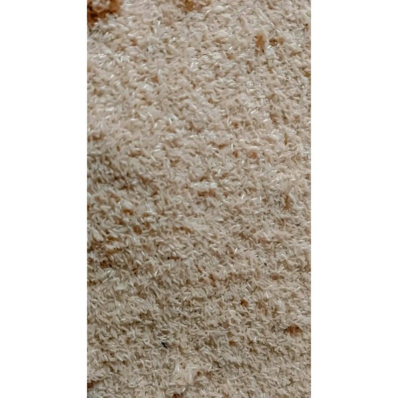 ( TJ ) Telur Jangkrik Muda Buat Umpan Pancing 5 Ons