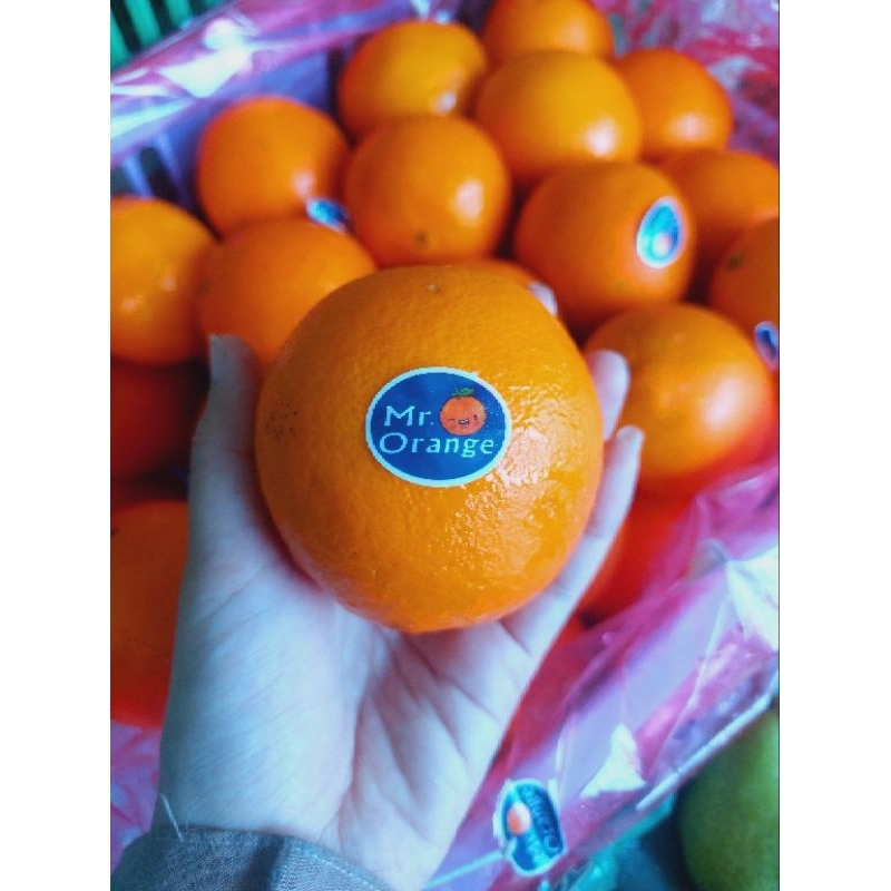 

Jeruk sunkist MR Orange