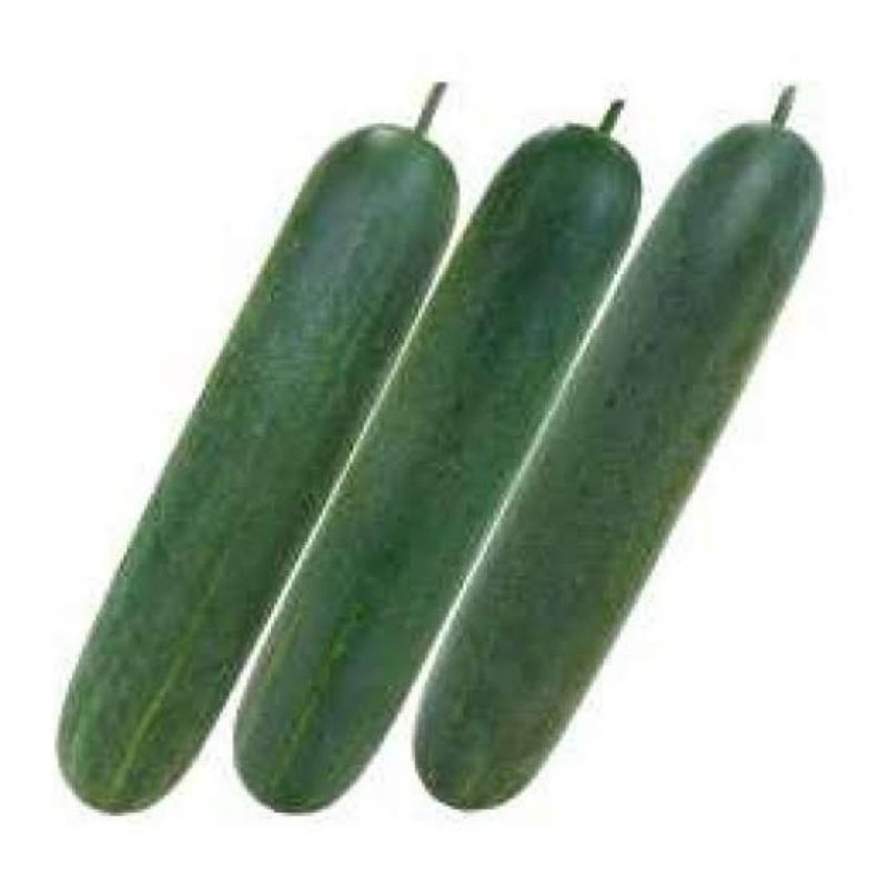 

Timun