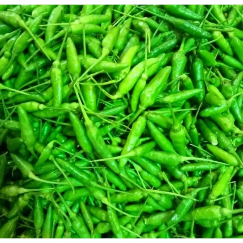 

CABE RAWIT HIJAU 100G 250G / RAWIT IJO / JAMIN SEGAR