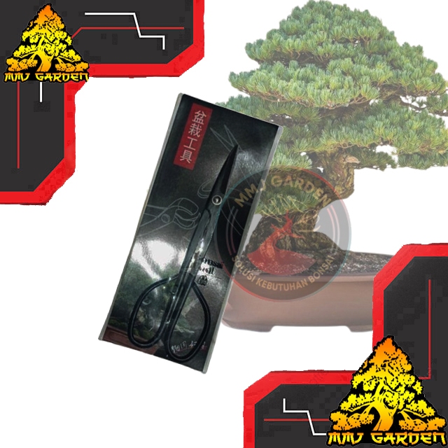 MMJ GARDEN-Alat Bonsai Berkebun, Gunting Pruning China