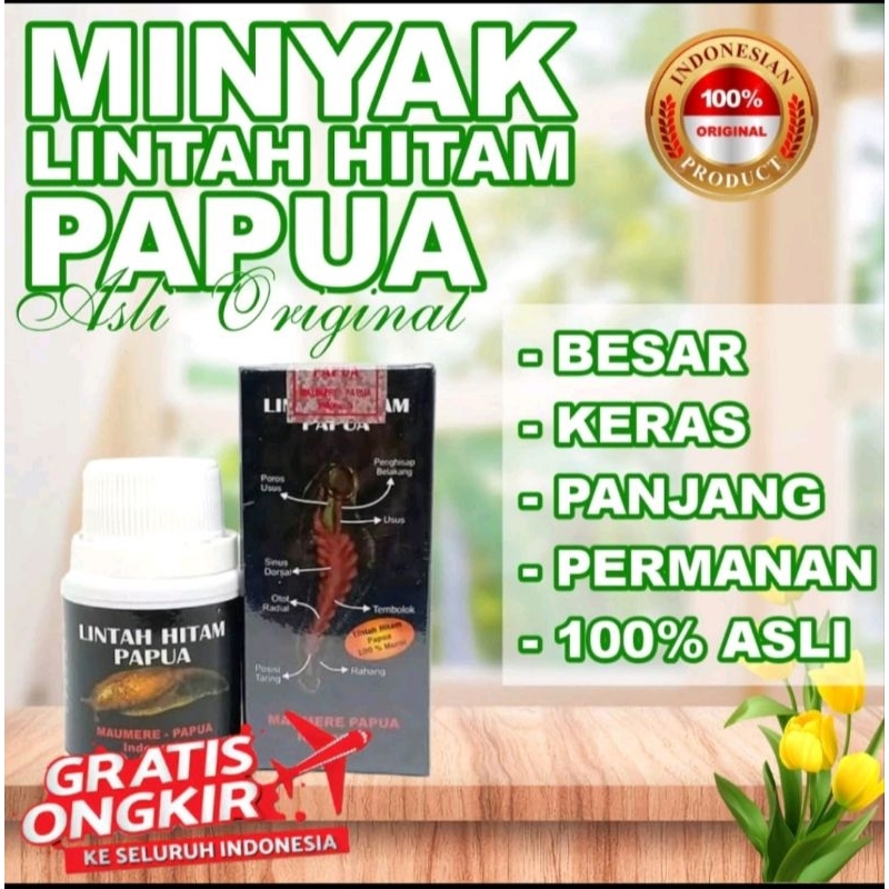 Minyak lintah papua original