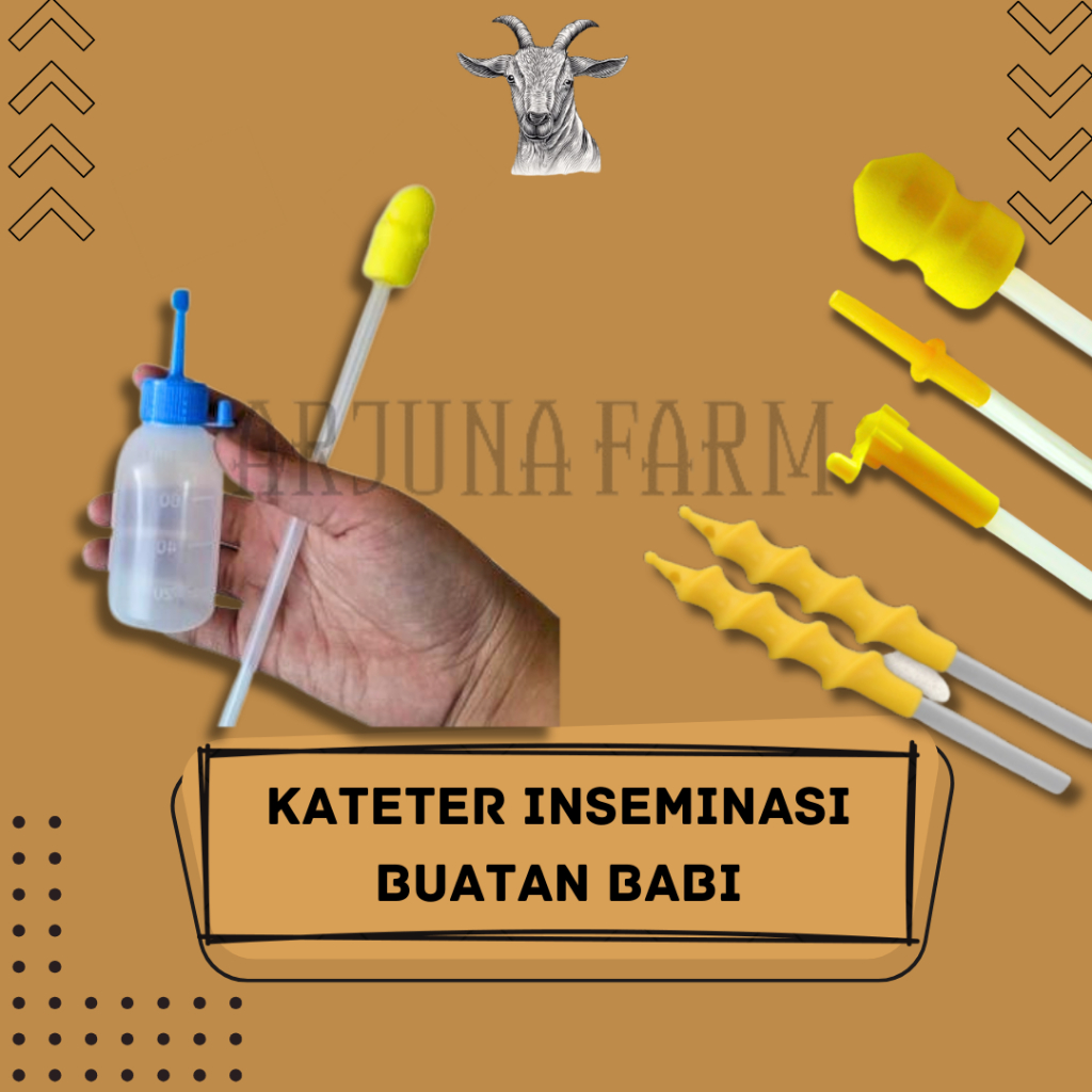 Kateter Inseminasi Babi - Pig Insemination Catheter