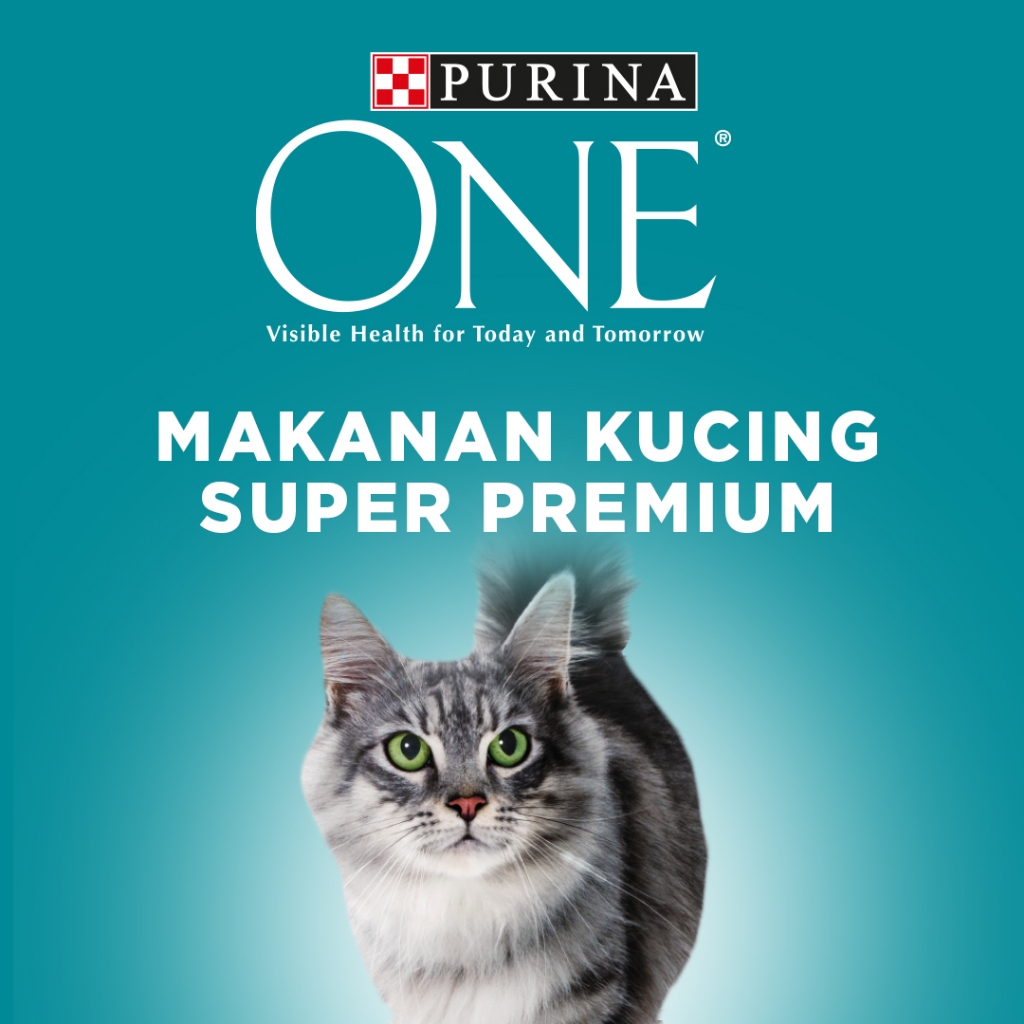 Purina ONE Cat Bed (GIFT ONLY)