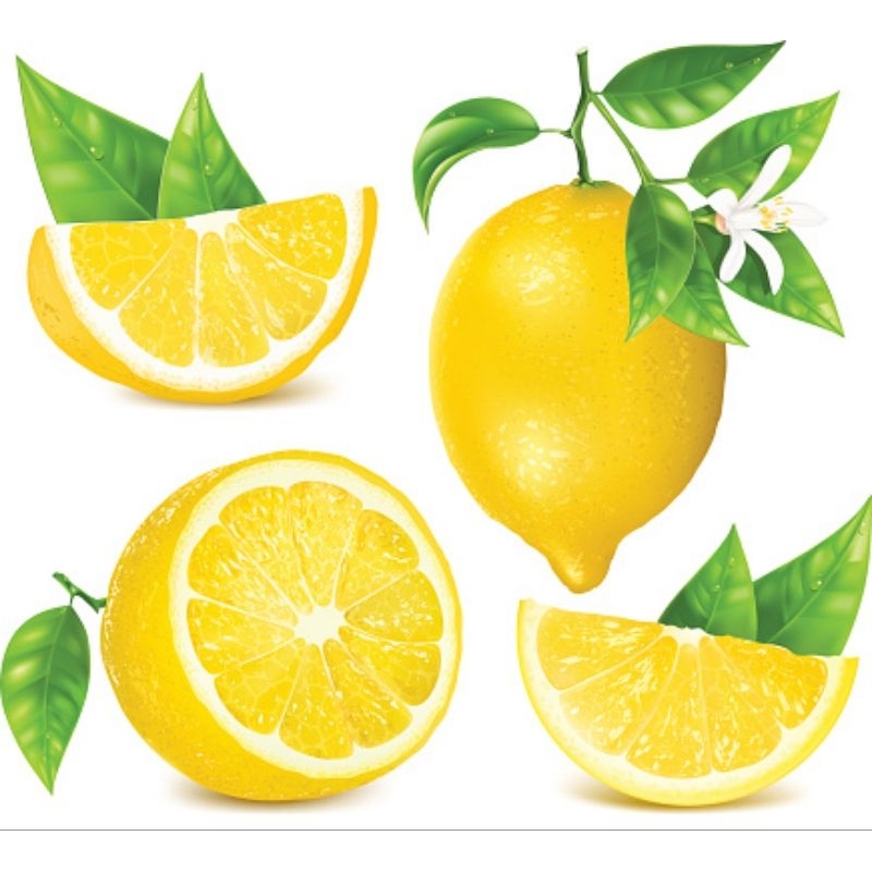 BIBIT JERUK LEMON CALIFORNIA