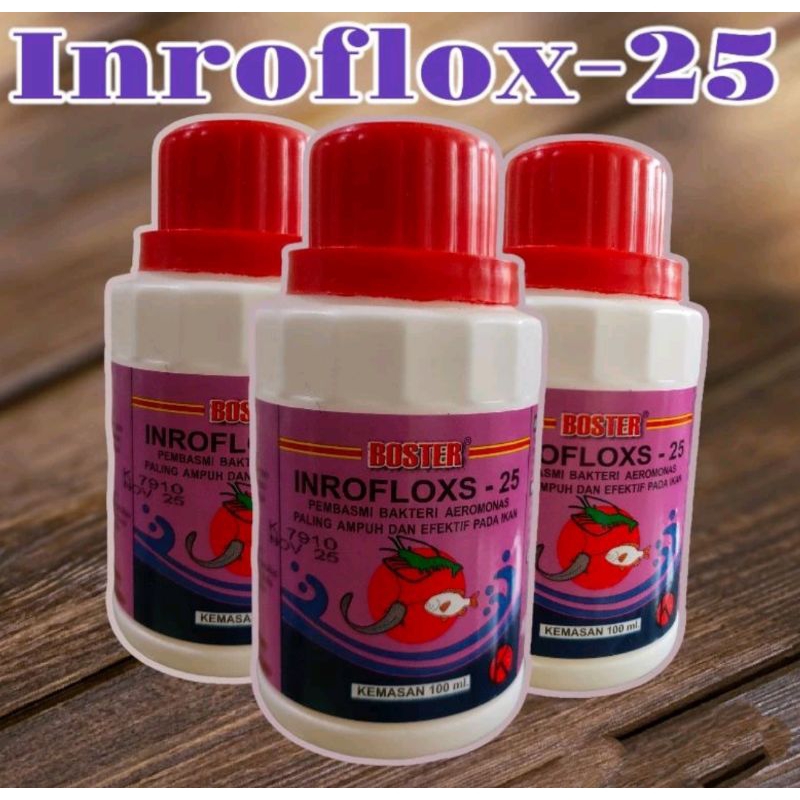inroflok 25, inrofloxs 25 cair asli