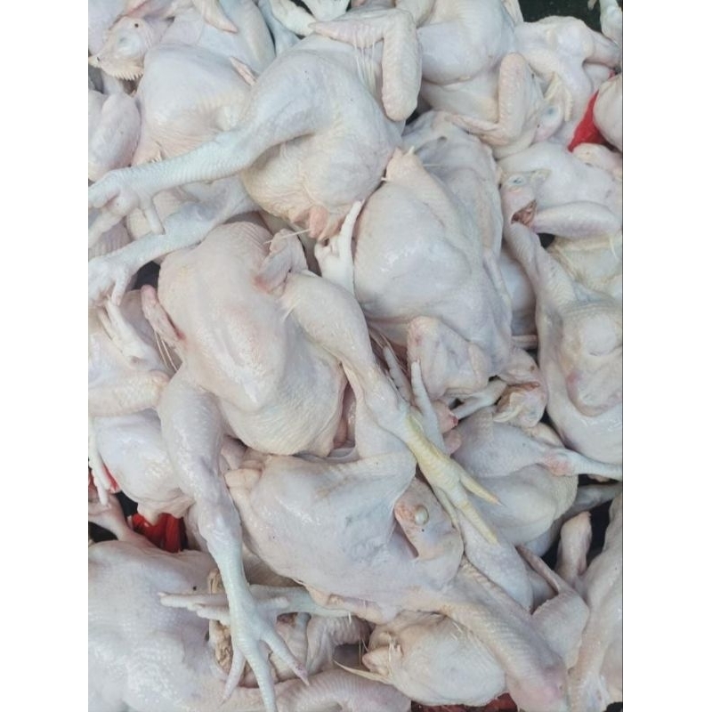 

ayam utuh (800 gram )